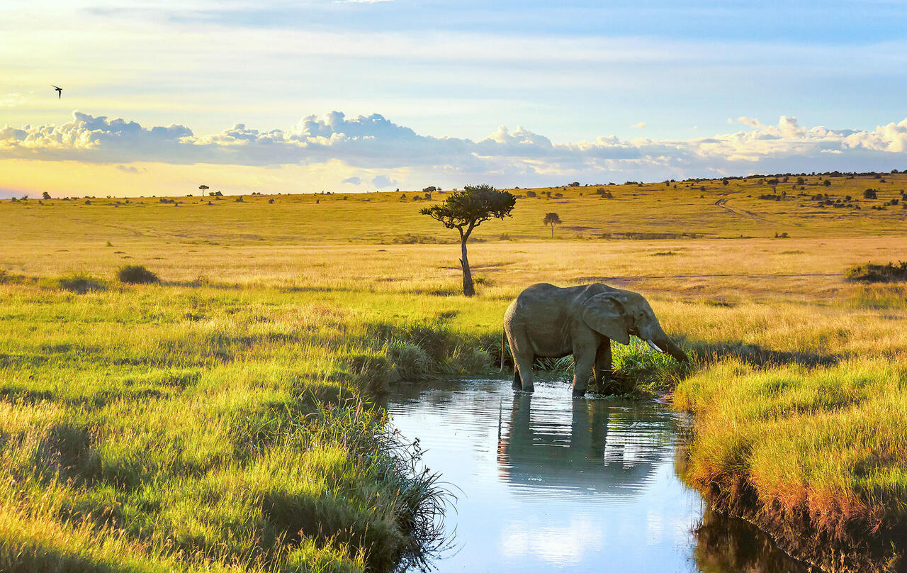 Kenya